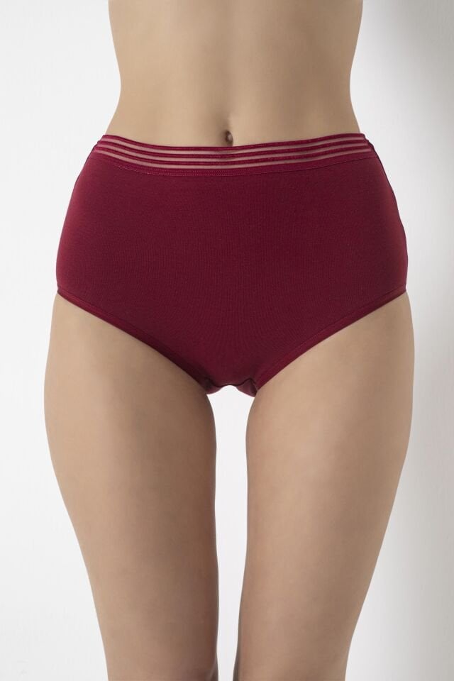 4276 Bel Transparan Lastikli Fantezi Yüksek Bel Külot Bordo